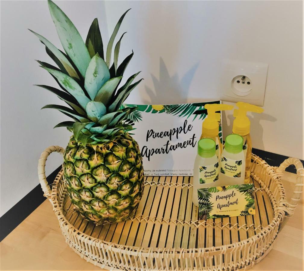 Pineapple Apartment Kolobrzeg Dış mekan fotoğraf